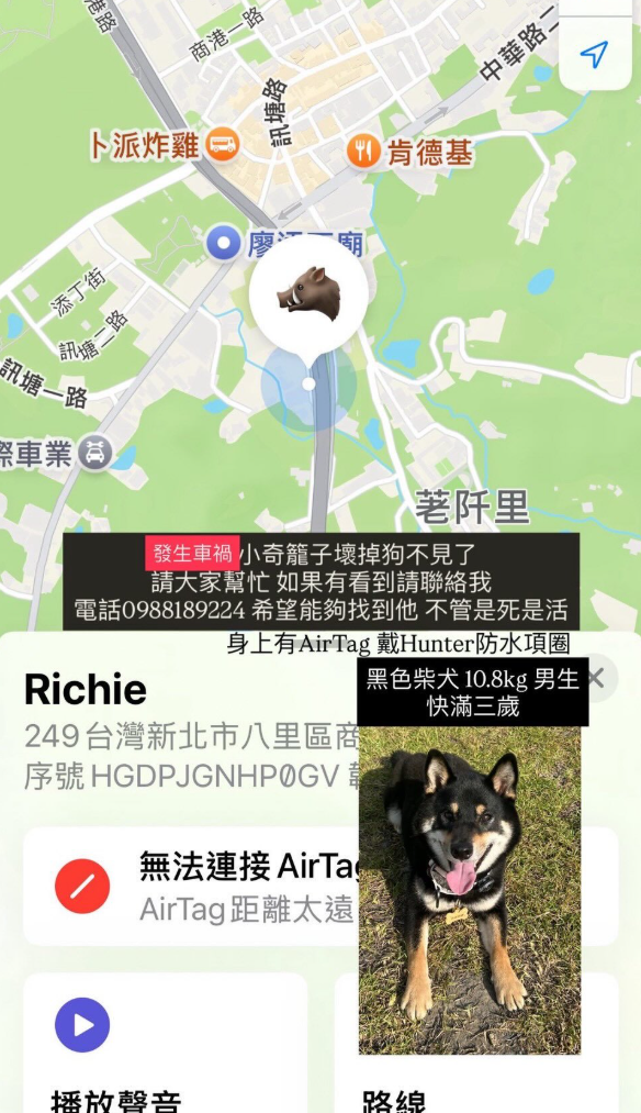 新北台61往北6.7公里車禍　車窗破裂黑柴走失「超過24小時」協尋。（圖／翻攝自協尋社群、IG@regalchang0720）