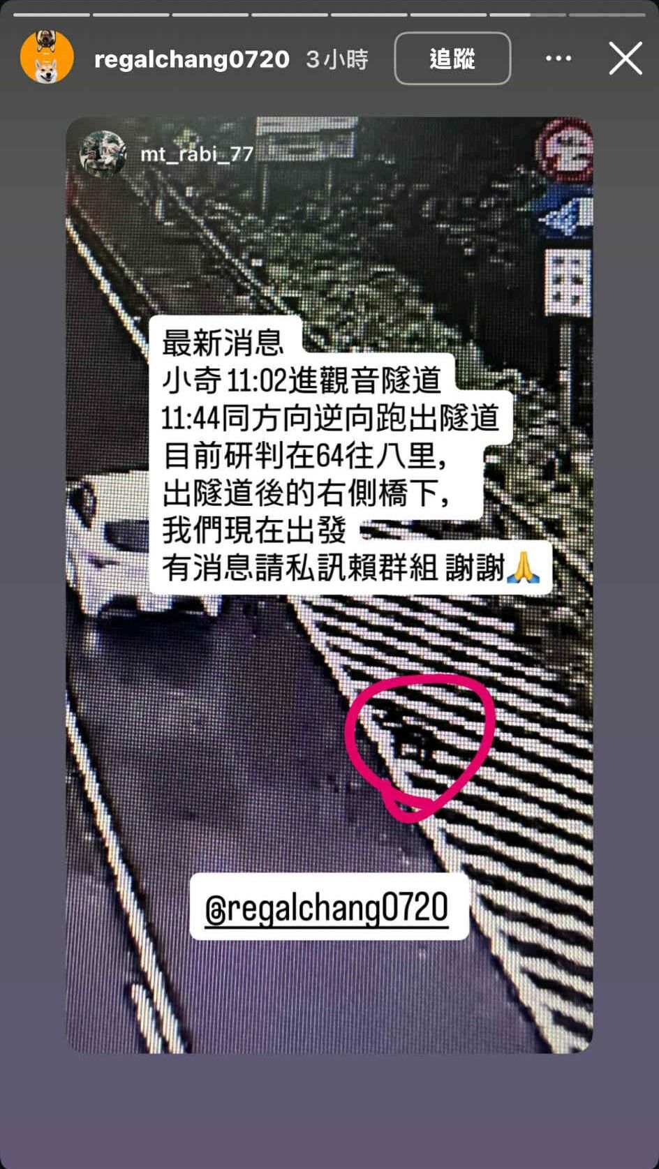 新北台61往北6.7公里車禍　車窗破裂黑柴走失「超過24小時」協尋。（圖／翻攝自協尋社群、IG@regalchang0720）