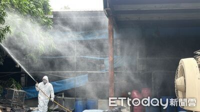 快訊／台中養豬場驗出非洲豬瘟　中檢主動剪報分案調查