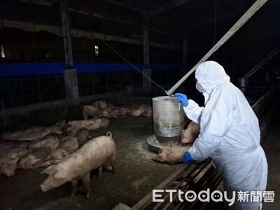 台中豬肉加工品流入新北　「468公斤賣給餐飲業」全數用罄