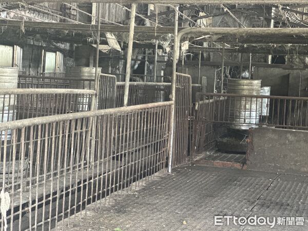 ▲▼台中梧棲爆發非洲豬瘟，事發養豬場豬隻已經撲殺清空。（圖／記者許權毅攝）