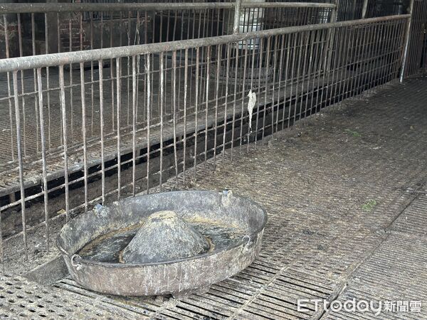 ▲▼台中梧棲爆發非洲豬瘟，事發養豬場豬隻已經撲殺清空。（圖／記者許權毅攝）