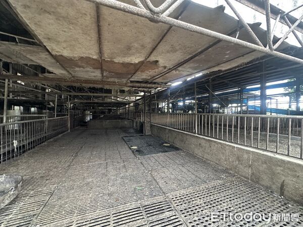 ▲▼台中梧棲爆發非洲豬瘟，事發養豬場豬隻已經撲殺清空。（圖／記者許權毅攝）