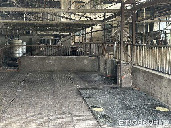 ▲▼台中梧棲爆發非洲豬瘟，事發養豬場豬隻已經撲殺清空。（圖／記者許權毅攝）
