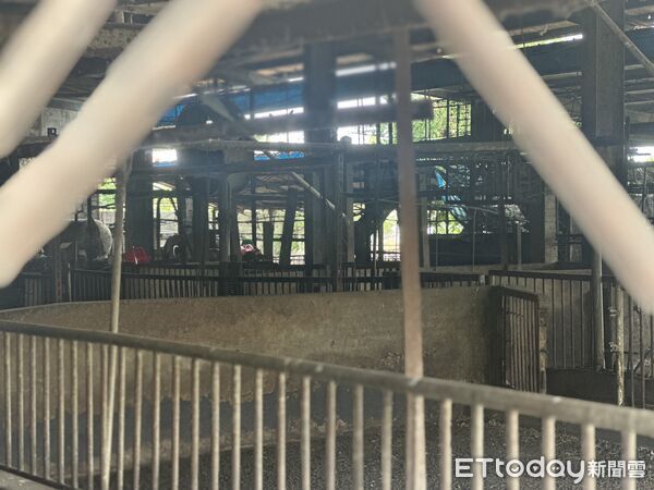 ▲▼台中梧棲爆發非洲豬瘟，事發養豬場豬隻已經撲殺清空。（圖／記者許權毅攝）