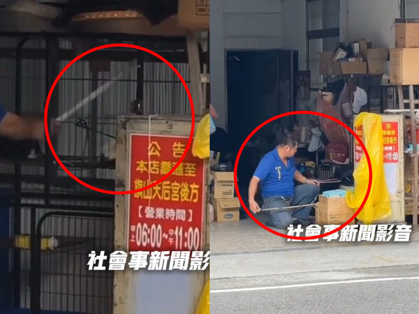 ▲▼棍棒虐打、狠戳籠中貓！旗山碗粿店爆虐貓慘遭蛋洗。（圖／翻攝社會事新聞影音）