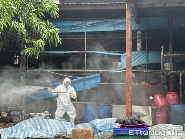 ▲▼   ▲台中梧棲爆發非洲豬瘟，動保處消毒        。（圖／記者許權毅攝）