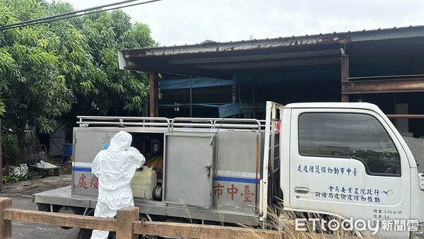 ▲▼   ▲台中梧棲爆發非洲豬瘟，動保處消毒        。（圖／記者許權毅攝）