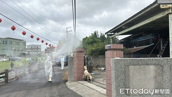 ▲▼ ▲台中梧棲爆發非洲豬瘟，動保處消毒 。（圖／記者許權毅攝）