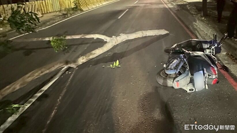 高雄突現巨大斷裂樹枝！19歲騎士閃不及猛撞慘摔　手腳全掛彩