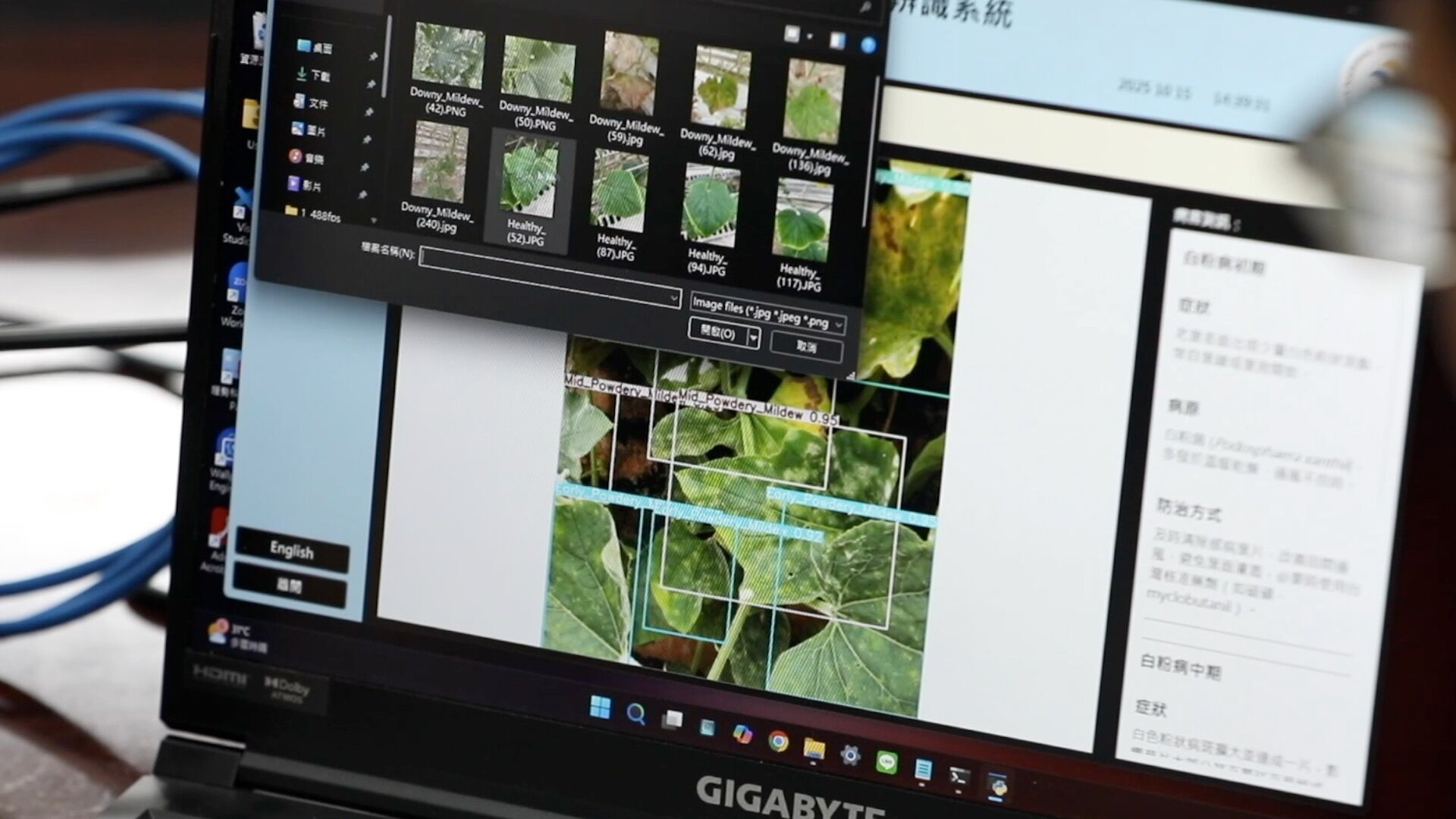 ▲▼屏東科技大學             。（圖／記者劉亮亨攝）