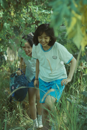 ▲《女孩》將於10月31日在台上映。（圖／甲上娛樂提供）