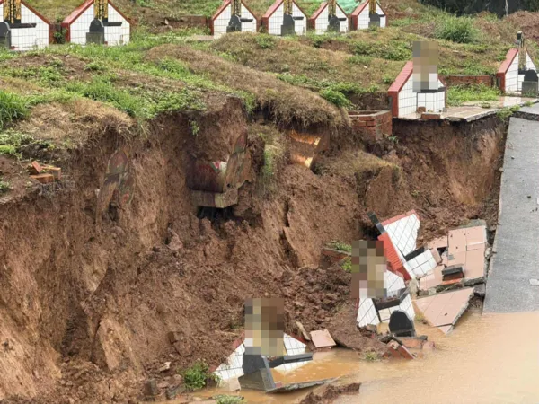 ▲▼ 蘆竹生命紀念園區 。（圖／民眾提供）