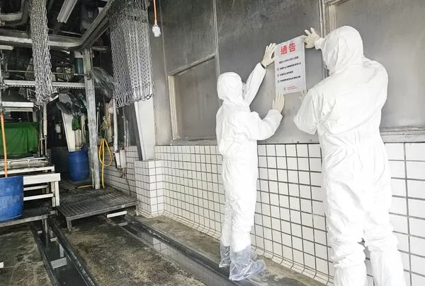 ▲針對台中出現非洲豬溫疑似病例，桃園市政府立即成立跨局處應變小組，並於轄區內各屠宰場張貼禁宰通告。（圖／桃園市農業局提供）