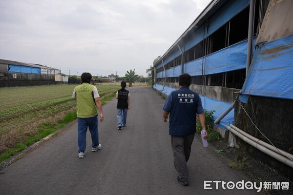 ▲屏東縣政府清查廚餘養豬場。（圖／屏東縣政府提供）