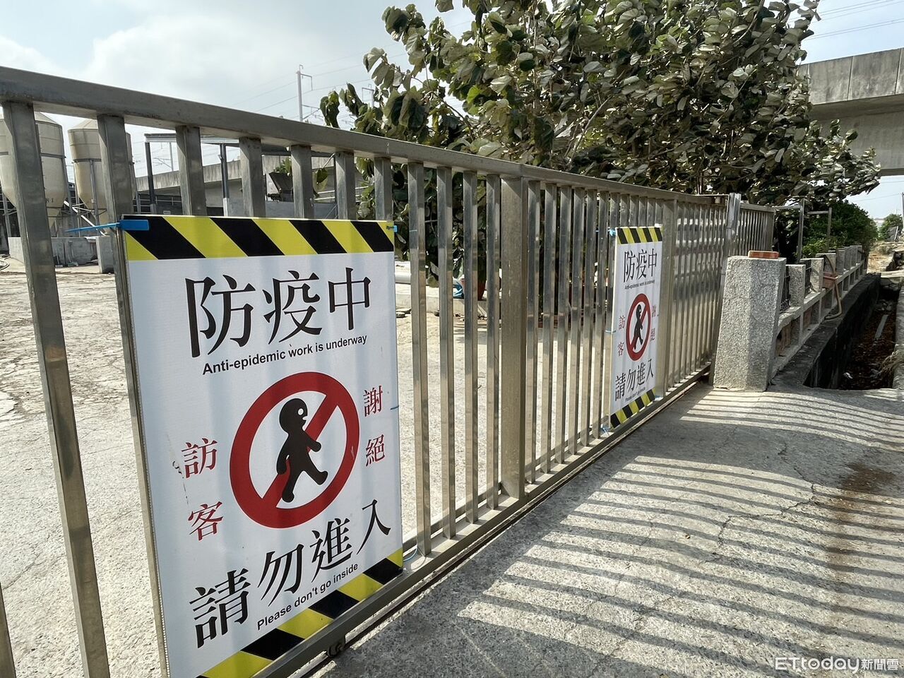 非洲豬瘟疫情爆發 嘉義縣府啟動2000萬防疫計畫