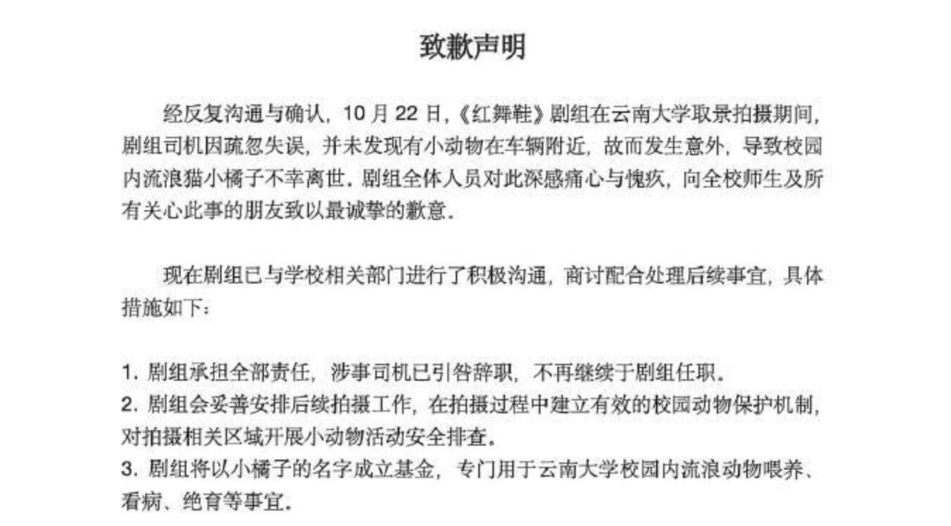 ▲《紅舞鞋》劇組道歉聲明。（圖／翻攝極目新聞）