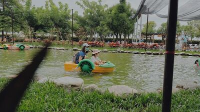 彰化6座放電系親子農場！空中腳踏車、手搖船玩到精疲力精