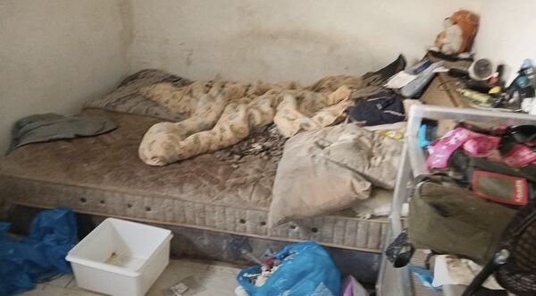 ▲▼             。（圖／記者張雅雲翻攝）