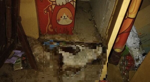 ▲▼             。（圖／記者張雅雲翻攝）