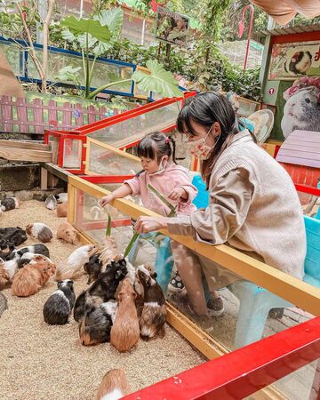 ▲▼精選彰化親子農場。（圖／ReadyGo提供）