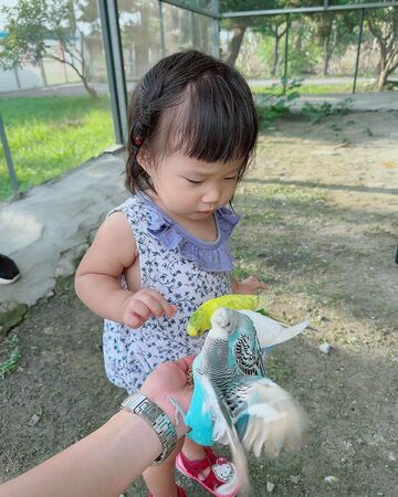 ▲▼精選彰化親子農場。（圖／ReadyGo提供）