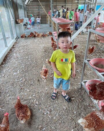 ▲▼精選彰化親子農場。（圖／ReadyGo提供）