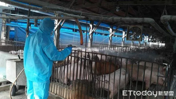 ▲▼            彰化縣長王惠美今(23日)召開彰化縣非洲豬瘟災害緊急應變中心第4次會議 。（圖／彰化縣政府提供，下同）