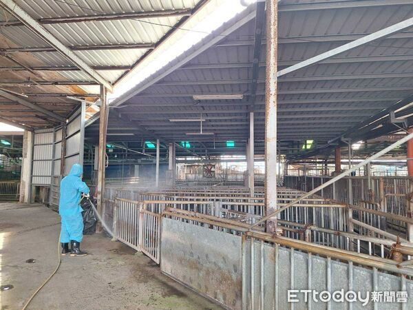 ▲▼            彰化縣長王惠美今(23日)召開彰化縣非洲豬瘟災害緊急應變中心第4次會議 。（圖／彰化縣政府提供，下同）