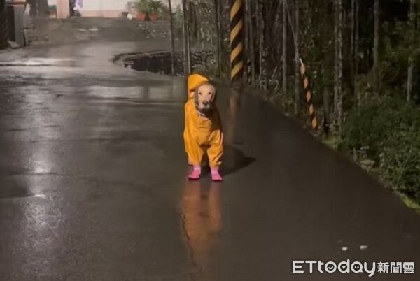 ▲。（圖／Threads@__c.y.r__提供，請勿隨意翻拍，以免侵權。）