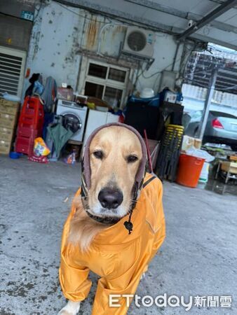 ▲。（圖／Threads@__c.y.r__提供，請勿隨意翻拍，以免侵權。）