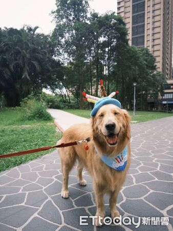 ▲。（圖／Threads@__c.y.r__提供，請勿隨意翻拍，以免侵權。）