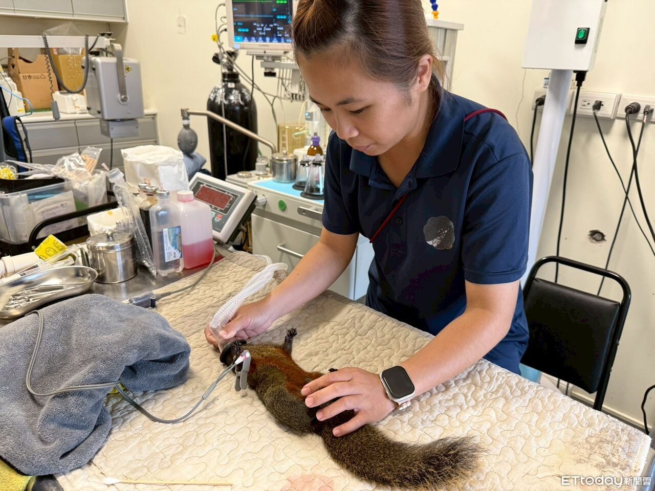 林業署、九九峰動物樂園合設野生動物急救站 強化救援保育