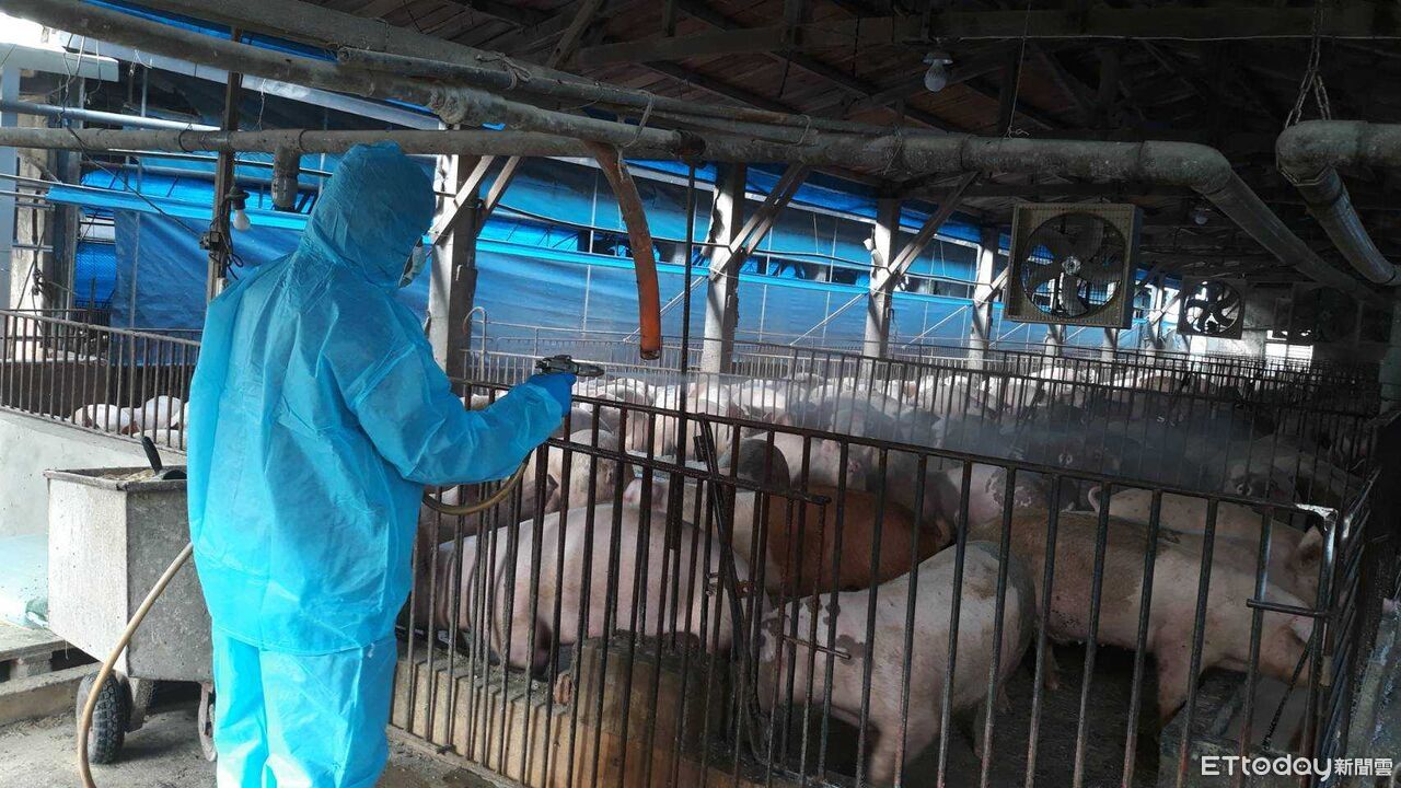 彰化芬園驚現多頭死豬！防疫所急採樣　結果最快明天出爐