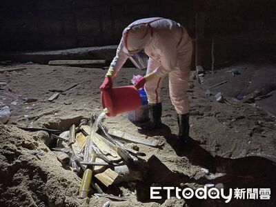 才爆非洲豬瘟！馬祖北竿沙灘驚見海漂豬屍　採樣清消急焚燬