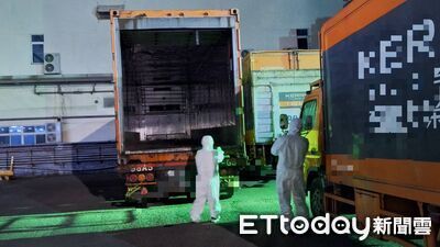 遭指避查「非洲豬瘟肉」物流車 嘉里大榮貨運急喊冤:誤會一場
