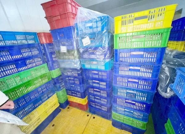 ▲桃園市衛生局人員今天前往桃園市稽查某食品廠，即時截獲一批來自台中市梧棲畜牧場販售405公斤後腿肉。（圖／衛生局提供）