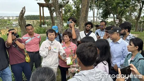 ▲▼   國立中正大學USR團隊推動跨文化永續農耕——國際學生齊聚嘉義水上，體驗紅骨仙草種植與樂齡共學   。（圖／林緗亭提供）