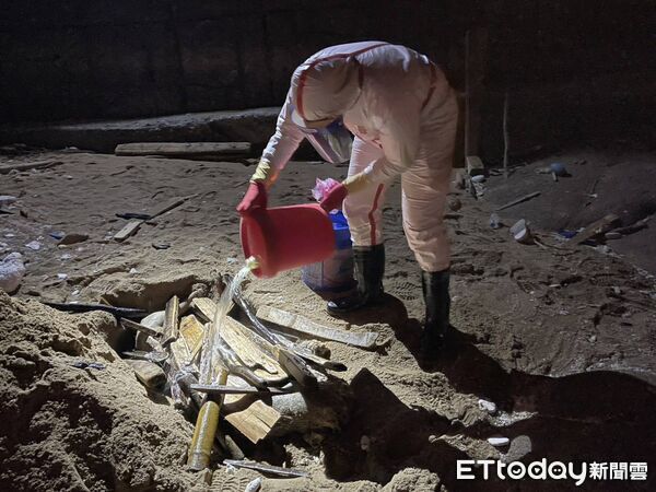 ▲▼馬祖北竿芹壁沙灘發現疑似死亡豬隻。（圖／記者鄭逢時翻攝）