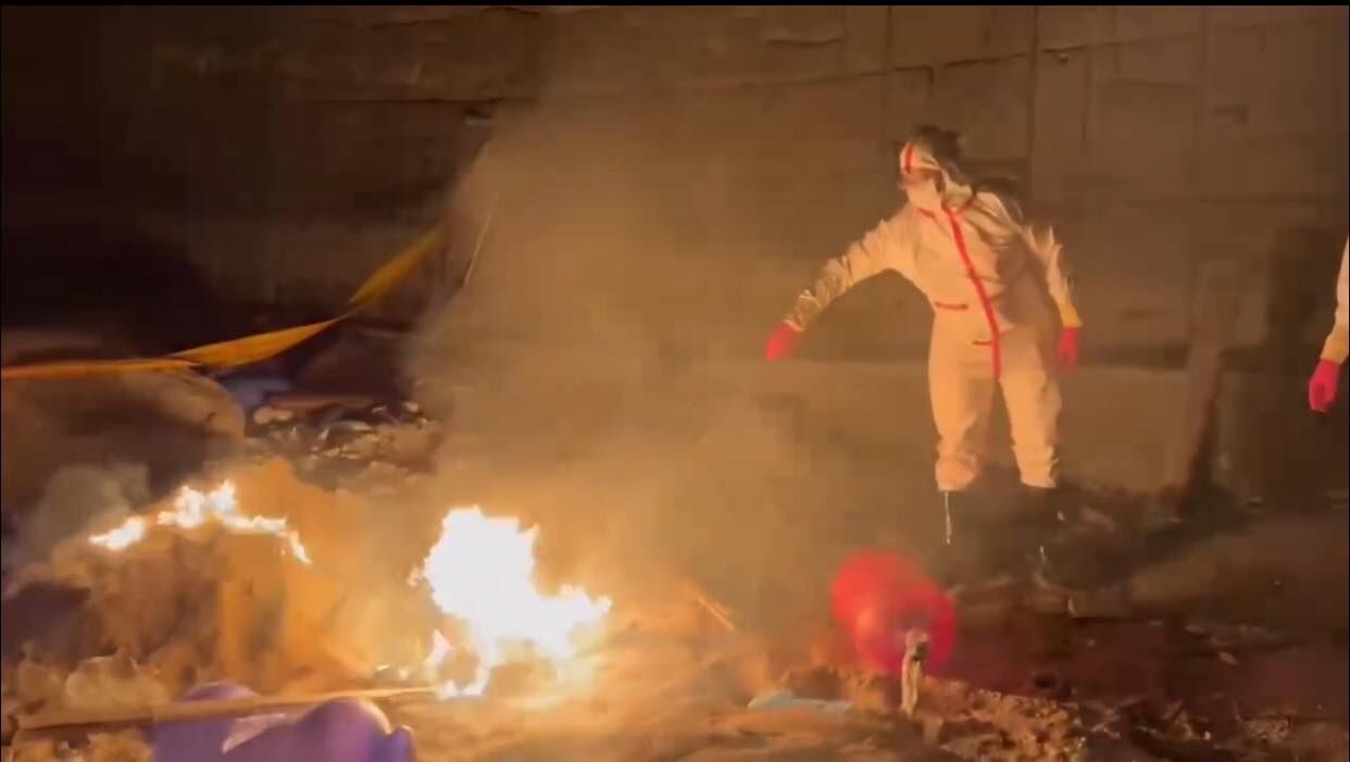 ▲▼海委會主委管碧玲透露，海巡處理岸際豬屍SOP流程，是以「假設每一隻豬屍都可能是非洲豬瘟斃死豬    」為原則。（圖／翻攝自Facebook／管碧玲）