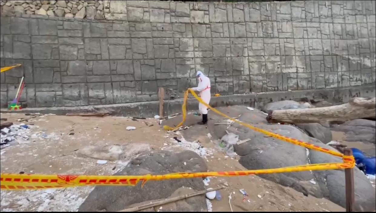 ▲▼海委會主委管碧玲透露，海巡處理岸際豬屍2k7SOP流程，是以「假設每一隻豬屍都可能是非洲豬瘟斃死豬    」為原則。（圖／翻攝自Facebook／管碧玲）