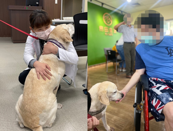 搜救犬鐵雄退休當療癒犬。(圖/翻攝自仁馨樂活園區)