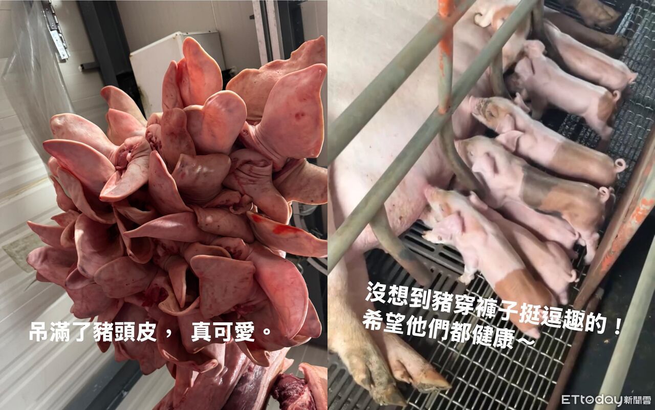 才把豬帶到市場「就爆非洲豬瘟消息」 業者吐心聲:時間是靜止的