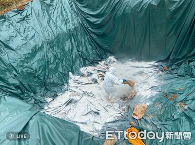 非洲豬瘟被疑10天空窗期!農業局「認錯人」 急轉彎調查2獸醫