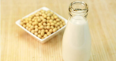 空腹喝豆漿浪費蛋白質？營養師：「這步驟」才是關鍵