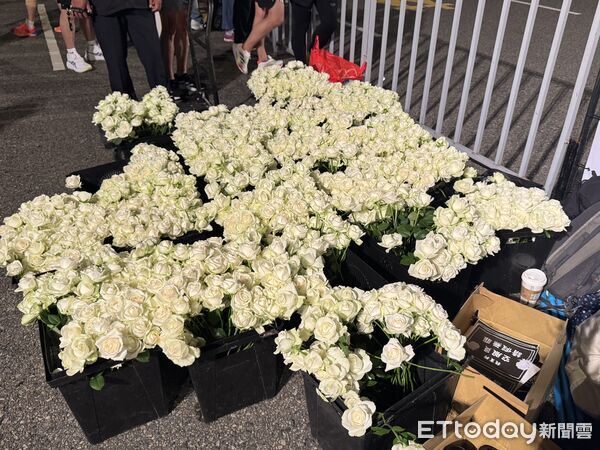 ▲▼桃園市空服員職業工會今天清晨前往長榮馬拉松活動向董總陳情。（圖／記者周湘芸攝）