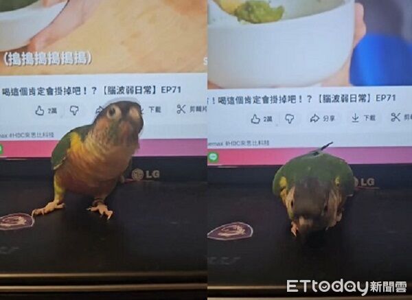 ▲。（圖／Threads@wsijcmc提供，請勿隨意翻拍，以免侵權。）