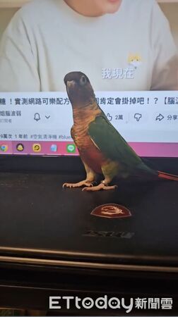 ▲。（圖／Threads@wsijcmc提供，請勿隨意翻拍，以免侵權。）