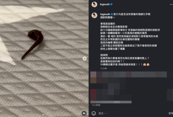 ▲▼大牙。（圖／翻攝自Instagram／bigtooth）