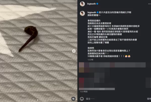 ▲▼大牙。（圖／翻攝自Instagram／bigtooth）